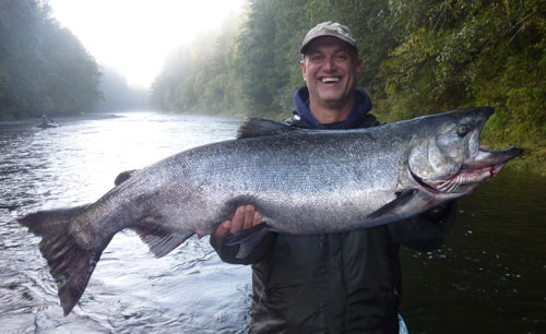 King Salmon Hoh River Oct 2013 King Salmon Hoh River Oct 2013