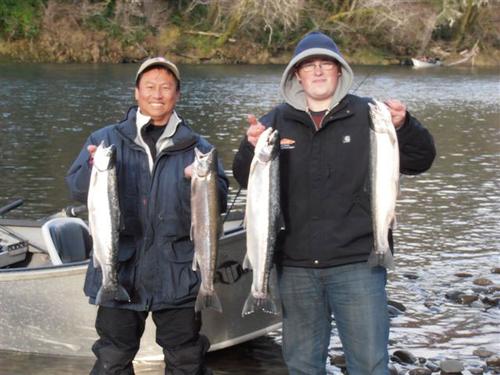 Steelhead Salmon Sol Duc River Dec 2013 Steelhead Salmon Sol Duc River Dec 2013
